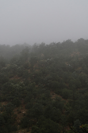 foggy day morning fog in the garden of the gods in colorado springs - travel photography on a colorado vacation in the rocky mountains.の写真素材