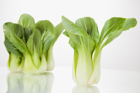 Vegetable isolated / Vegetables green pakchoi isolated on white backgroundの写真素材