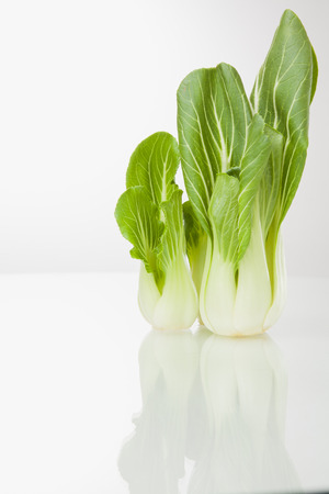 Vegetable isolated / Vegetables green pakchoi isolated on white backgroundの写真素材