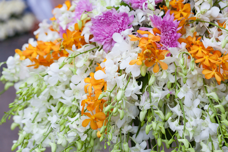 Wedding arch of white and yellow orchids with chrysanthemum for decoration,の写真素材
