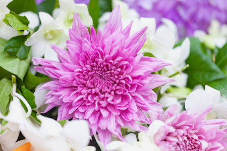 Bouquet of flowers white chrysanthemums with orchid and green leafs with drops of water on petals, natural spring backgroundの写真素材