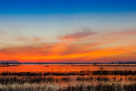 Sunset with tree  reflection in a lake at Ubonrat dam, Khon Khan city, Thailand.の写真素材
