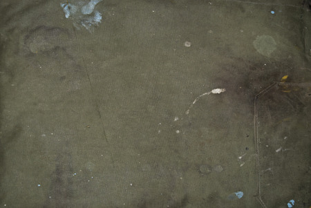 Green texureの写真素材