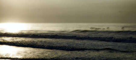 Ocean with birdsの写真素材