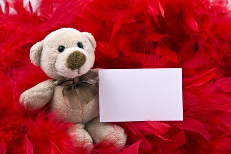 single teddy bear with white notice sitting on red backgroundの写真素材