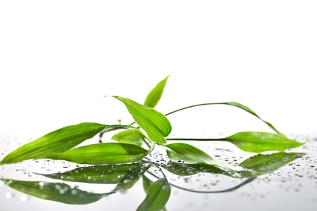 Spa Background with Bamboo and Waterの写真素材