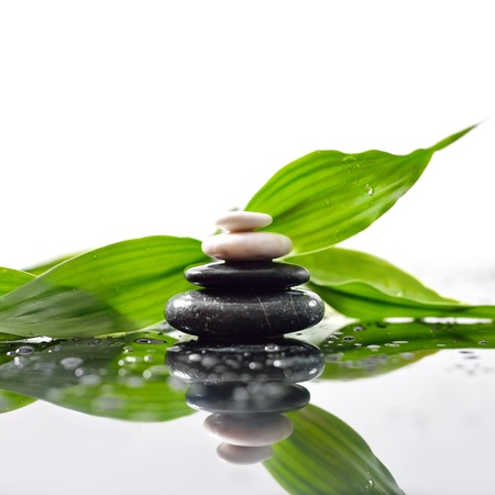 Green leaves over zen stones pyramid on waterdrops surfaceの写真素材