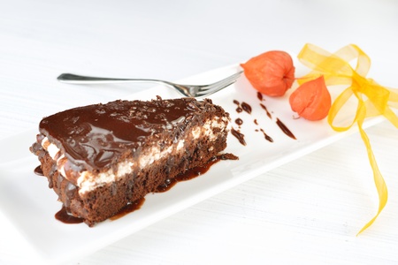 Piece of tasty chocolate cake with black chocolate sauceの写真素材