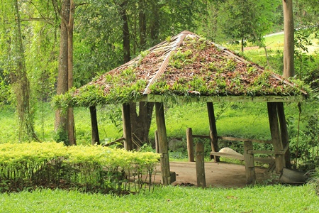 Cottage  in the woodsの写真素材