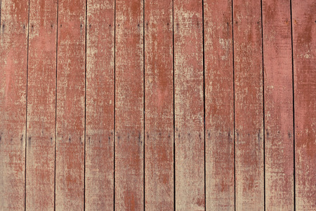 Wood backgroundの写真素材