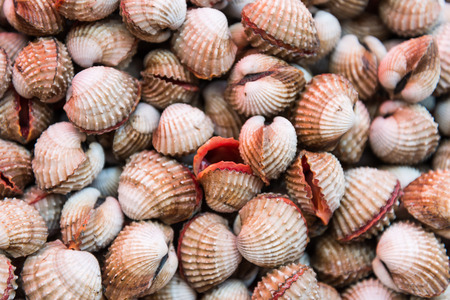 Blood cockles in marketの写真素材