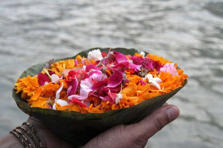 Offering colourful/colorful flowers to river Goddess の写真素材