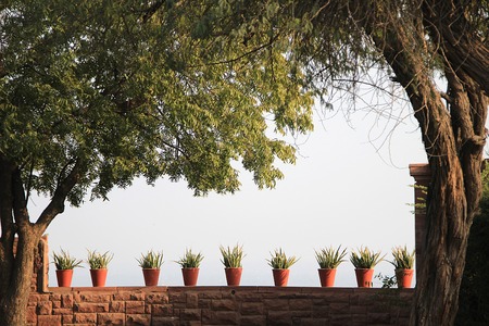 View of nine red earthen pots on parapet against light blue sky, housings plants, framed by foliage and treesの写真素材