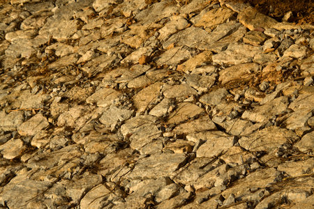 View of path laid of rough rubble strewn with dry sticks and jelly stonesの写真素材