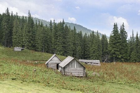 Old small houses in front of the woodland. Hiking Travel Lifestyle concept mountain view. Journey in the Carpathians mountains, Ukraineの写真素材