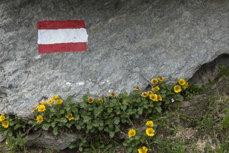 Red and white flag of Austria as a route marker to Grossglockner rock summit in Austrian Alpsの写真素材
