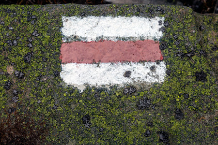 The red and white hiking sign for the tourist orientation on the stone with yellow lichen on the Carpathians Gorgany rangeの写真素材