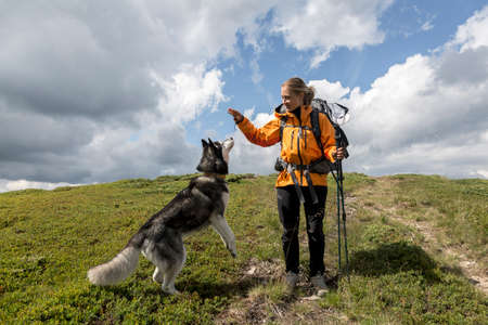 Tourist girl with her friend gray Siberian husky dog hiking in the green mountainsの写真素材