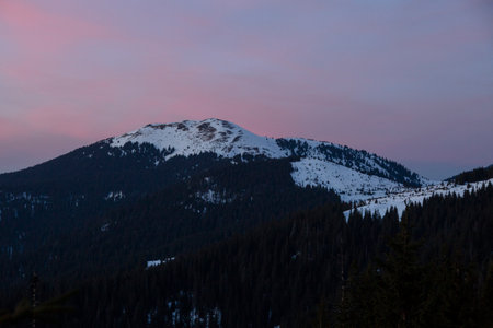 Spruce trees covered with white fluffy snow in the winter mountain forest with sunset sky. Beautiful...
