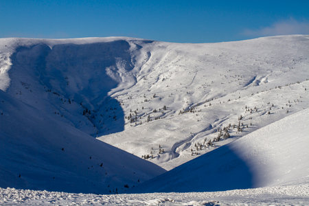 Freeride trails in the snow-covered mountains, Dragobrat, Carpathians