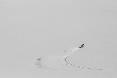 Great snowboarding line on white field, black and white photo of winter activity. Ski touring in mountains, winter freeride extreme sportの写真素材