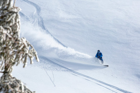 The backcountry snowboarder gracefully carves through the untouched powder snow, leaving behind a trail of white fluff in their wake. a breathtaking scene that captures the beauty of winter sports.の写真素材