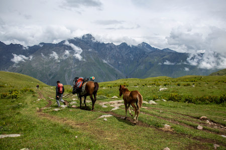 A scenic trek in the mountains with a person leading horses, their bags packed for an expedition. Mount Kazbek or Kazbegi, the Caucasus, located in Georgiaの写真素材