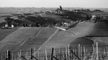 Castle of Serralunga d'Albaのeditorial素材