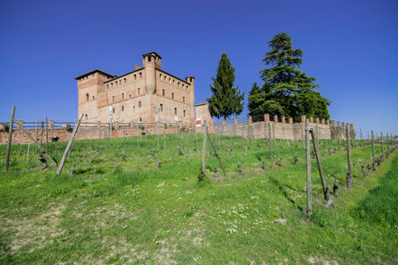 View of the beautiful castle of Grinzane Cavourのeditorial素材
