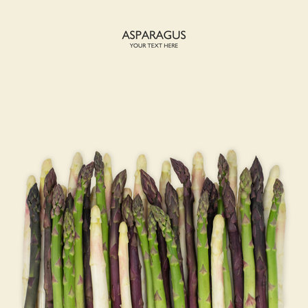 Asparagus group of green healthy vegetables organized in a row isolated on a white background as a food concept of health diet and living a natural fit well nourished life. Top view.の写真素材