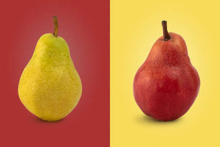 Red and yellow pear fruits on color background. Fresh fruits.の写真素材