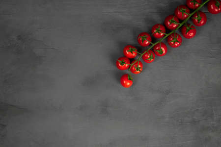 Cherry tomatoes on the vine on grey stone background. Concept for healthy nutrition.の写真素材