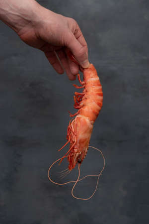 Red chilli peppers on dark gray stone background. Close up.の写真素材