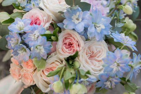 Flower background - cyan, pink and peach colors. Close Upの写真素材