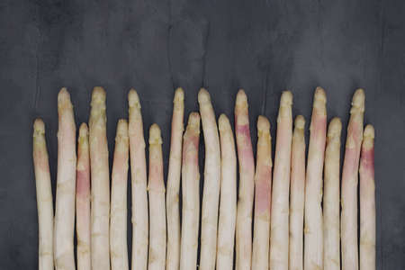 White asparagus arranged in row isolated on grey background. Fresh vegetables.の写真素材