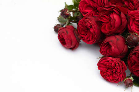 Red roses bouquet isolated on white background.の写真素材
