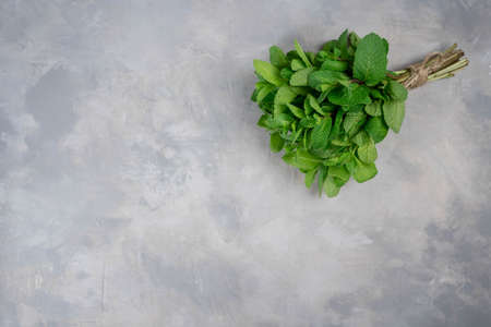 A bunch of mint, spearmint, peppermint tied with twine on a gray background. mint-flavored leaves. Mint bunch. BIO mint.の写真素材