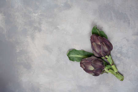 Artichokes isolated on a gray background. Top view. Copy space. BIO vegetables.の写真素材