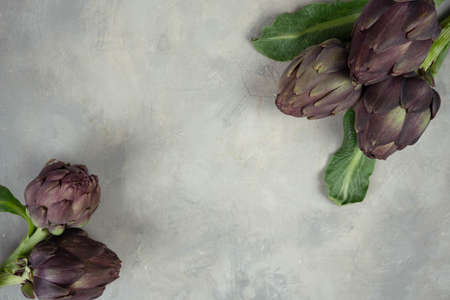 Artichokes isolated on a gray background. Top view. Copy space. BIO vegetables.の写真素材