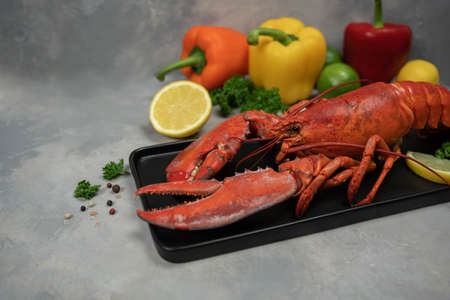 Lobster decorated with lemon slices on black plate on on concrete. Fresh seafood. Luxury food.の写真素材