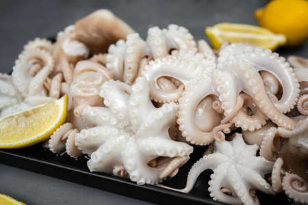 Boiled webfoot octopus dish decorated with lemon slices on gray concrete table. Fresh seafood.の写真素材
