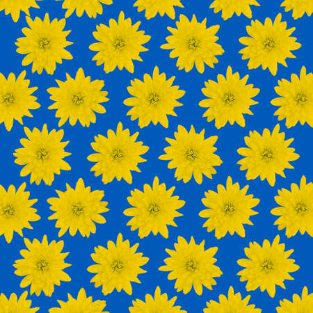 Pattern of yellow flowers on blue background. Ukraine flag. No war in Ukraine story size poster...