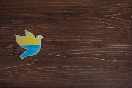 Dove of peace pattern, yellow-blue flag of Ukraine.の写真素材