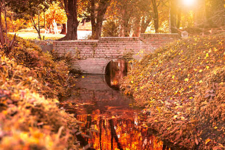 Stream in a park during autumn at sunsetの写真素材
