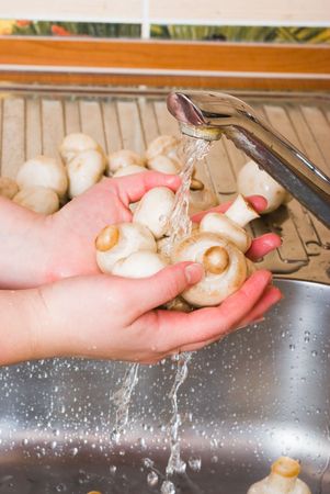 The woman washes mushroomsの写真素材