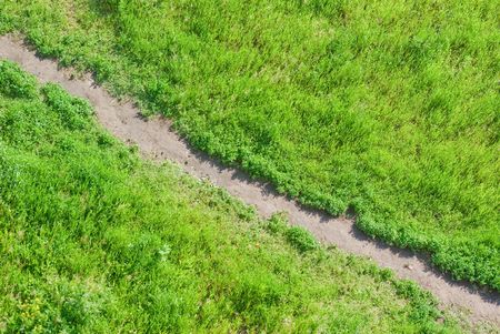 footpath across the lawnの写真素材