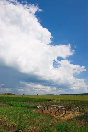 garden and cloudsの写真素材