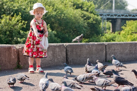 girl in a dress and a white hat feeding pigeonsの写真素材