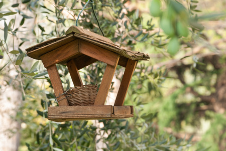 bird feeder and nest among olive treesの写真素材