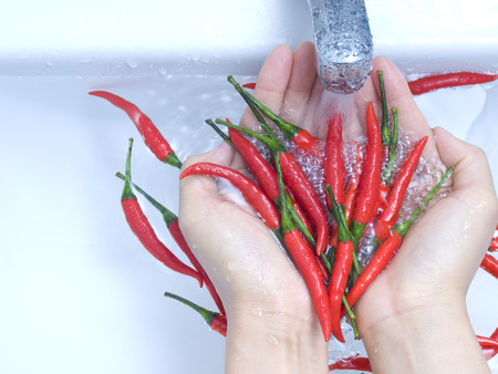 chilli washes by hands in basinの写真素材